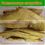 Herbal Medicine Common Fibraurea Stem Treating Diabetes thumbnail-3