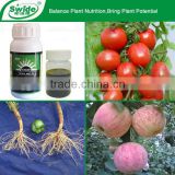 calcium boron fertilizer