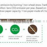 Health Facial Paper thumbnail-3