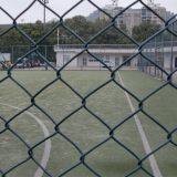 pvc coated galvanized wire chain link fence for baseball fields poles