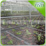 Glass/Film/Plastic/PC Sheet Greenhouse thumbnail-1