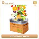 Hot Sale Collapsible Tyvek Paper Insulated Lunch Cooler Bag thumbnail-1