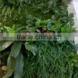 Fake Plant Free Combination Grass Flower Green Wall for Hotel Office Decoration thumbnail-1