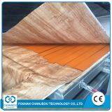 Aluminum Sheet Wood Grain Transfer Machine thumbnail-2