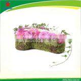 Moss Rattan Cross Planter