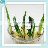 Crystal Flower Vase for Home Decoration thumbnail-1