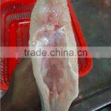 Frozen Leatherjacket Fish HGT thumbnail-4