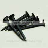 Linyi shoe tack nails (factory)/blue shoe nail/ three star shoe tack