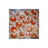 Frozen Half Shell Scallops thumbnail-1