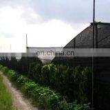 Green Shade Cloth Sun Shade Net Car Parking Cover thumbnail-2