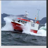 NSR NPP100 AIS PILOT PLUG thumbnail-3