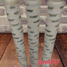 0165R025W AMLPP Filter Element