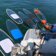 Stand Up Paddle Board, Crystal Clear