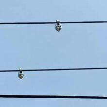 New Type Digital Intelligent Overhead Line Type Cable Short Circuit and Ground Fault Indicator for Power Distribution Line SFI thumbnail-4