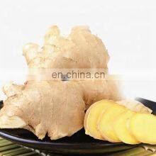 New Crop High Quality Chinese Ginger Fresh Ginger thumbnail-2
