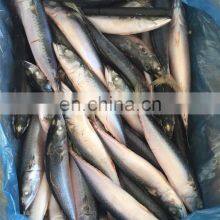 Frozen Mackerel Fish Price Frozen Pacific Mackerel Fish Price Japanese Mackerel thumbnail-4