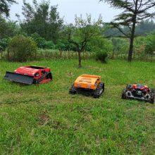 Lawn Mower Robot, China Remote Control Slope Mower for Sale Price, Radio Control Mower for Sale thumbnail-5