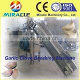 Efficiency 100% Stainless Steel 304 Garlic Shallot Bulk Clove Breaking Spliting Machine thumbnail-2