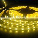 IP65 3years Warranty SMD5050 7W 30led/m Warm White 12v Led Strip Light