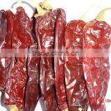 Chinese Exported Dry Sweet Paprika Whole thumbnail-4