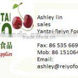 IQF New Crop Whole Strawberry thumbnail-5