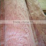 Hot Sale Sliced Cut Bubinga Veneer