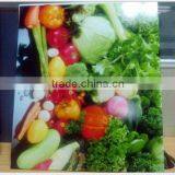 Automatic a2 Size Low Cost Plastisol Printer With DX5 Head