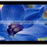 19 Inch LCD Screen Wall Mount Network Ad Player