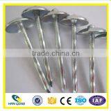 Hanqing Galvanized Twisted Roofing Nail thumbnail-4