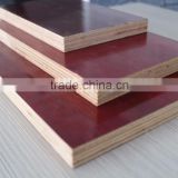 Strong and Durable Film Faced Plywood with Black/Brown/Red Color for Construction