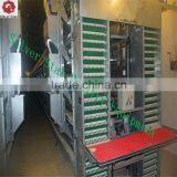 Hot Galvanized Wire Mesh H Type Chicken Layer Cage for Poultry Farm