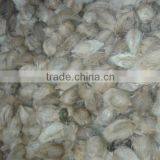 Fresh Green Cocounts thumbnail-4