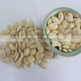 bulk raw shelled pumpkin seeds for sale