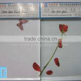 3mm 4mm 5mm 6mm 8mm Low Iron Glass Extra Clear Float Glass thumbnail-6