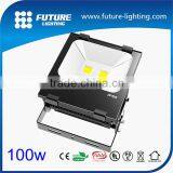 CE RoHS 3 Years Warranty Outdoor Waterproof 100 Watt Projector Led Luminous