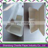 Biodegradable Tablewares,sugar Cane Pulp Tableware,disposable Biodegradable Food Container thumbnail-2