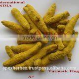 Turmeric Fingers Whole Spice / Turmeric / Curcuma Longa Fingers thumbnail-5
