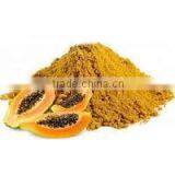 100% PURE PAPAYA FRUIT POWDER