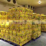 Dragon Fruit thumbnail-6