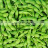 IQF Fresh Soybeans thumbnail-2