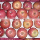 Fresh Qinguan Apple thumbnail-6