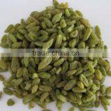 Sweet Green Raisin thumbnail-5