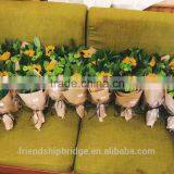 Nursery Direct Fresh Cut Sunflower thumbnail-3