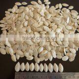 Shine Skin Pumpkin Seeds thumbnail-1