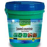 Seaweed Organic Liquid Root Fertilizer thumbnail-3