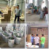 Changge Glorious Future Beekeeping Supplies Co., Ltd. company overview - view 1 thumbnail