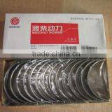 Weichai Engine Diesel Crankshaft Bearing Shell 61800010128 for Wd615 Engine thumbnail-1
