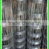Electro Galvanized Grassland Fence - Factory thumbnail-1