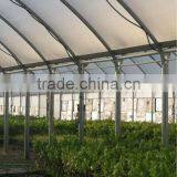 Commercial Greenhouse Multi Span Greenhouse for Sale thumbnail-2