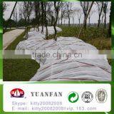 UV Treated PP Spunbond Non Woven Fabric for Plant Cover / Ground Cover / Tree Cover / Tomato Cover thumbnail-3